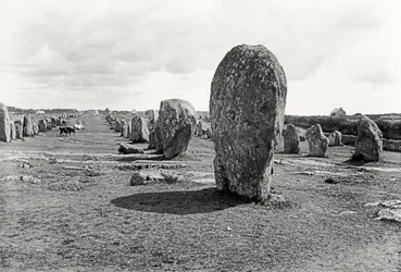 Rekke av stående steiner, megalittisk, 4.-3. årtusen f.Kr.